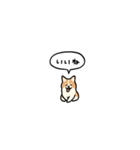 小さいコーギー2(フキダシ)（個別スタンプ：1）