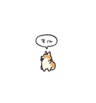 小さいコーギー2(フキダシ)（個別スタンプ：3）