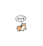 小さいコーギー2(フキダシ)（個別スタンプ：4）