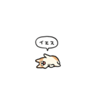小さいコーギー2(フキダシ)（個別スタンプ：5）