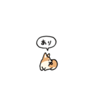 小さいコーギー2(フキダシ)（個別スタンプ：7）