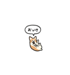 小さいコーギー2(フキダシ)（個別スタンプ：9）