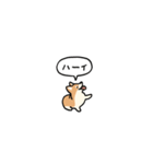 小さいコーギー2(フキダシ)（個別スタンプ：10）