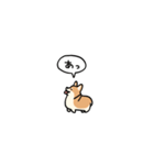 小さいコーギー2(フキダシ)（個別スタンプ：11）