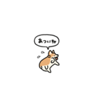 小さいコーギー2(フキダシ)（個別スタンプ：12）