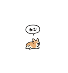 小さいコーギー2(フキダシ)（個別スタンプ：15）