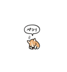 小さいコーギー2(フキダシ)（個別スタンプ：16）