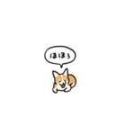 小さいコーギー2(フキダシ)（個別スタンプ：17）