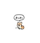 小さいコーギー2(フキダシ)（個別スタンプ：20）