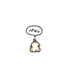 小さいコーギー2(フキダシ)（個別スタンプ：21）