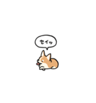 小さいコーギー2(フキダシ)（個別スタンプ：22）