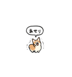小さいコーギー2(フキダシ)（個別スタンプ：25）