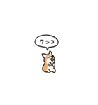 小さいコーギー2(フキダシ)（個別スタンプ：27）