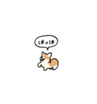 小さいコーギー2(フキダシ)（個別スタンプ：28）