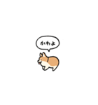小さいコーギー2(フキダシ)（個別スタンプ：29）