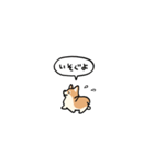 小さいコーギー2(フキダシ)（個別スタンプ：31）