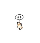 小さいコーギー2(フキダシ)（個別スタンプ：32）