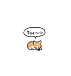 小さいコーギー2(フキダシ)（個別スタンプ：35）