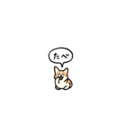 小さいコーギー2(フキダシ)（個別スタンプ：37）