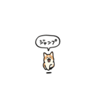 小さいコーギー2(フキダシ)（個別スタンプ：38）