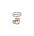 小さいコーギー2(フキダシ)（個別スタンプ：40）