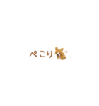 癒しコーギーの省スペース敬語（個別スタンプ：17）