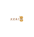 癒しコーギーの省スペース敬語（個別スタンプ：31）