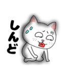 ネガティブなブサイクにゃんこ35（個別スタンプ：19）