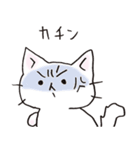 猫ピッチャーVol.3（個別スタンプ：29）