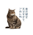 実写ねこ彼女【カップル・おもしろい】（個別スタンプ：2）