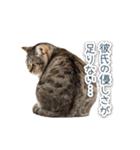 実写ねこ彼女【カップル・おもしろい】（個別スタンプ：5）
