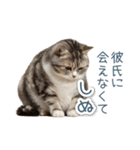 実写ねこ彼女【カップル・おもしろい】（個別スタンプ：6）
