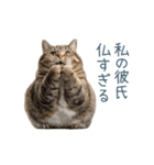 実写ねこ彼女【カップル・おもしろい】（個別スタンプ：16）
