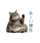 実写ねこ彼女【カップル・おもしろい】（個別スタンプ：18）