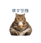 実写ねこ彼女【カップル・おもしろい】（個別スタンプ：19）