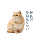実写ねこ彼女【カップル・おもしろい】（個別スタンプ：21）