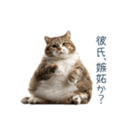 実写ねこ彼女【カップル・おもしろい】（個別スタンプ：26）