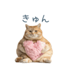 実写ねこ彼女【カップル・おもしろい】（個別スタンプ：27）
