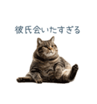 実写ねこ彼女【カップル・おもしろい】（個別スタンプ：29）