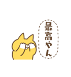 「えっ」な猫（個別スタンプ：11）