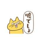 「えっ」な猫（個別スタンプ：17）