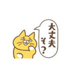 「えっ」な猫（個別スタンプ：19）