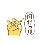「えっ」な猫（個別スタンプ：23）