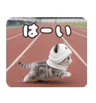 飛び出す パンダ帽が可愛い猫 ずっと使える（個別スタンプ：19）