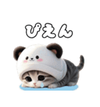 飛び出す パンダ帽が可愛い猫 ずっと使える（個別スタンプ：20）