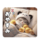 飛び出す パンダ帽が可愛い猫 ずっと使える（個別スタンプ：23）