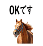 敬語で競馬【BIG】（個別スタンプ：3）