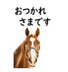 敬語で競馬【BIG】（個別スタンプ：4）