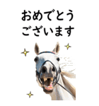 敬語で競馬【BIG】（個別スタンプ：6）