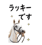 敬語で競馬【BIG】（個別スタンプ：11）